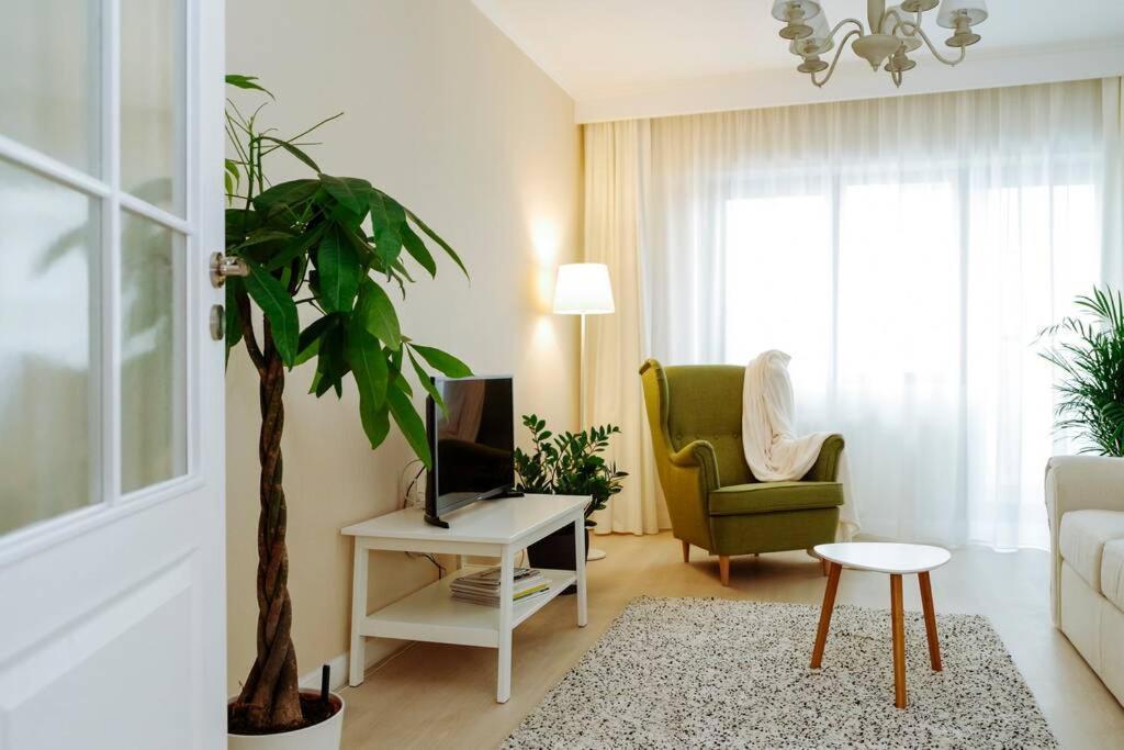 Elegant Vibes Apartment Next To Obor Market บูคาเรสต์ ภายนอก รูปภาพ