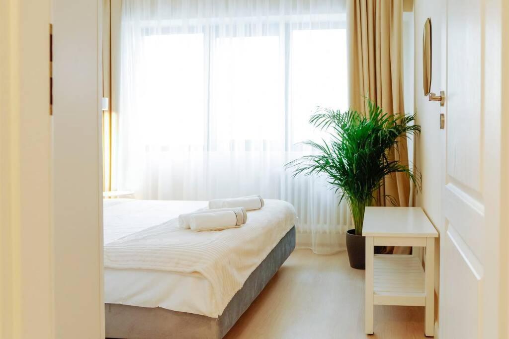 Elegant Vibes Apartment Next To Obor Market บูคาเรสต์ ภายนอก รูปภาพ