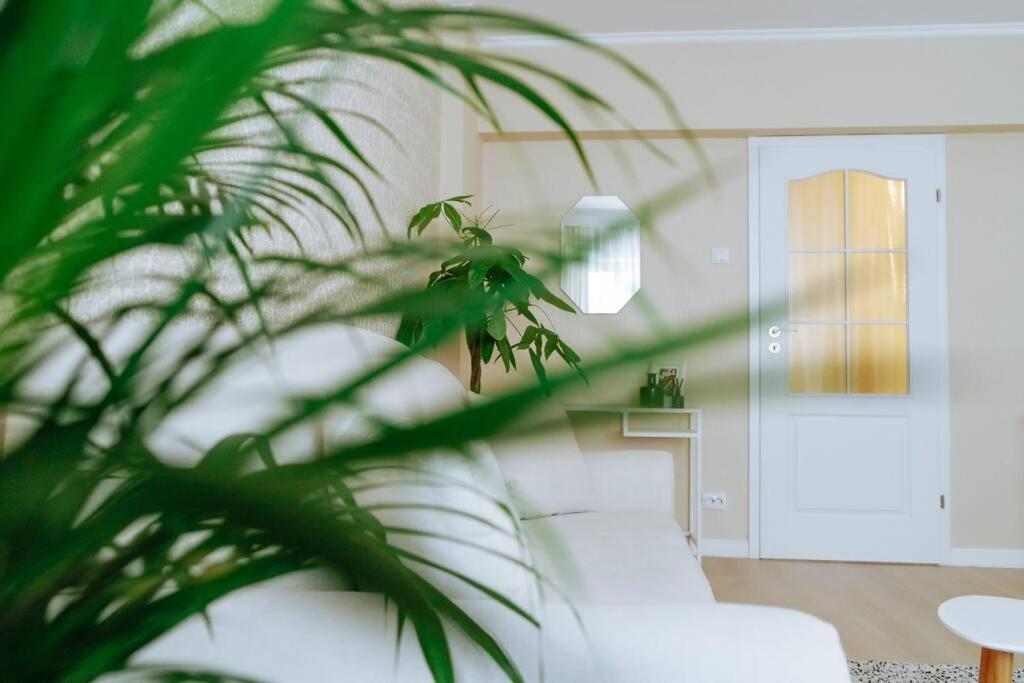 Elegant Vibes Apartment Next To Obor Market บูคาเรสต์ ภายนอก รูปภาพ